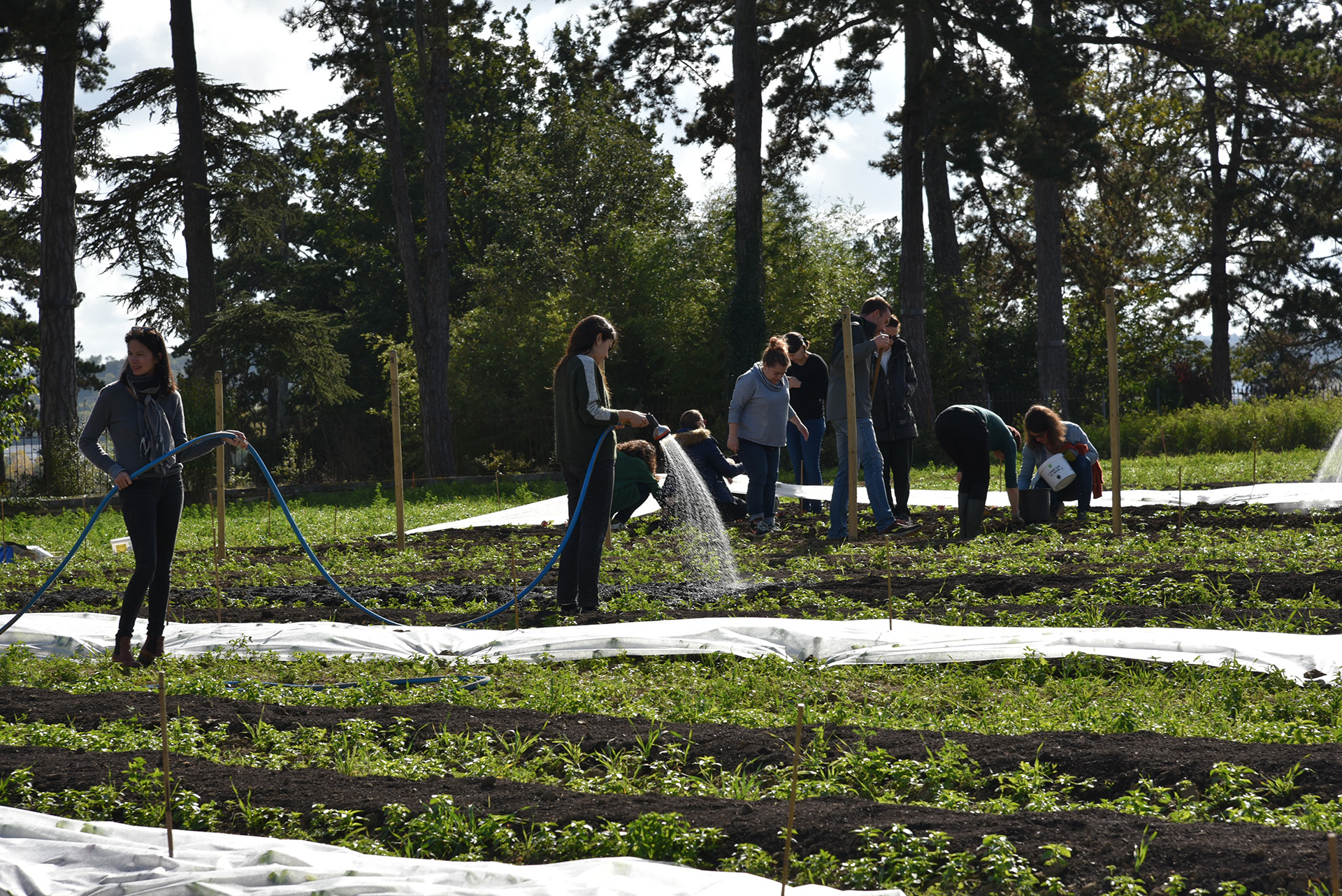 jardin du site ECOCERT