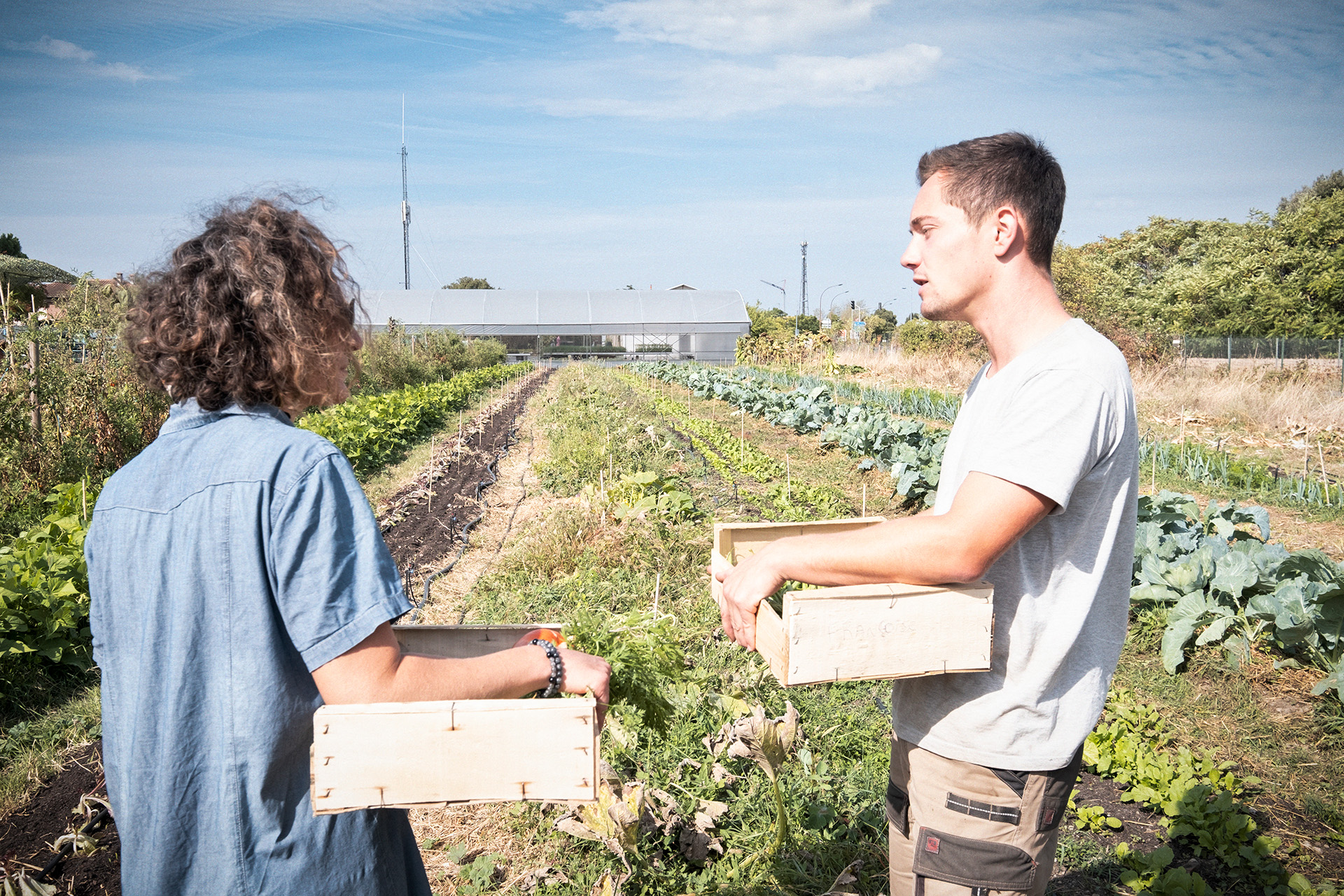 deux collègues d'entreprise dans un jardin partagé