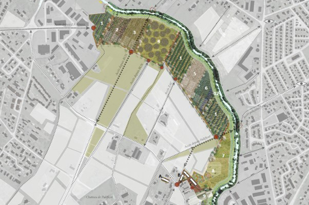 plan d'un futur jardin partagé